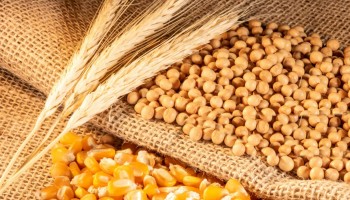 Agricultural products Agricultural products