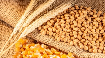 Agricultural products